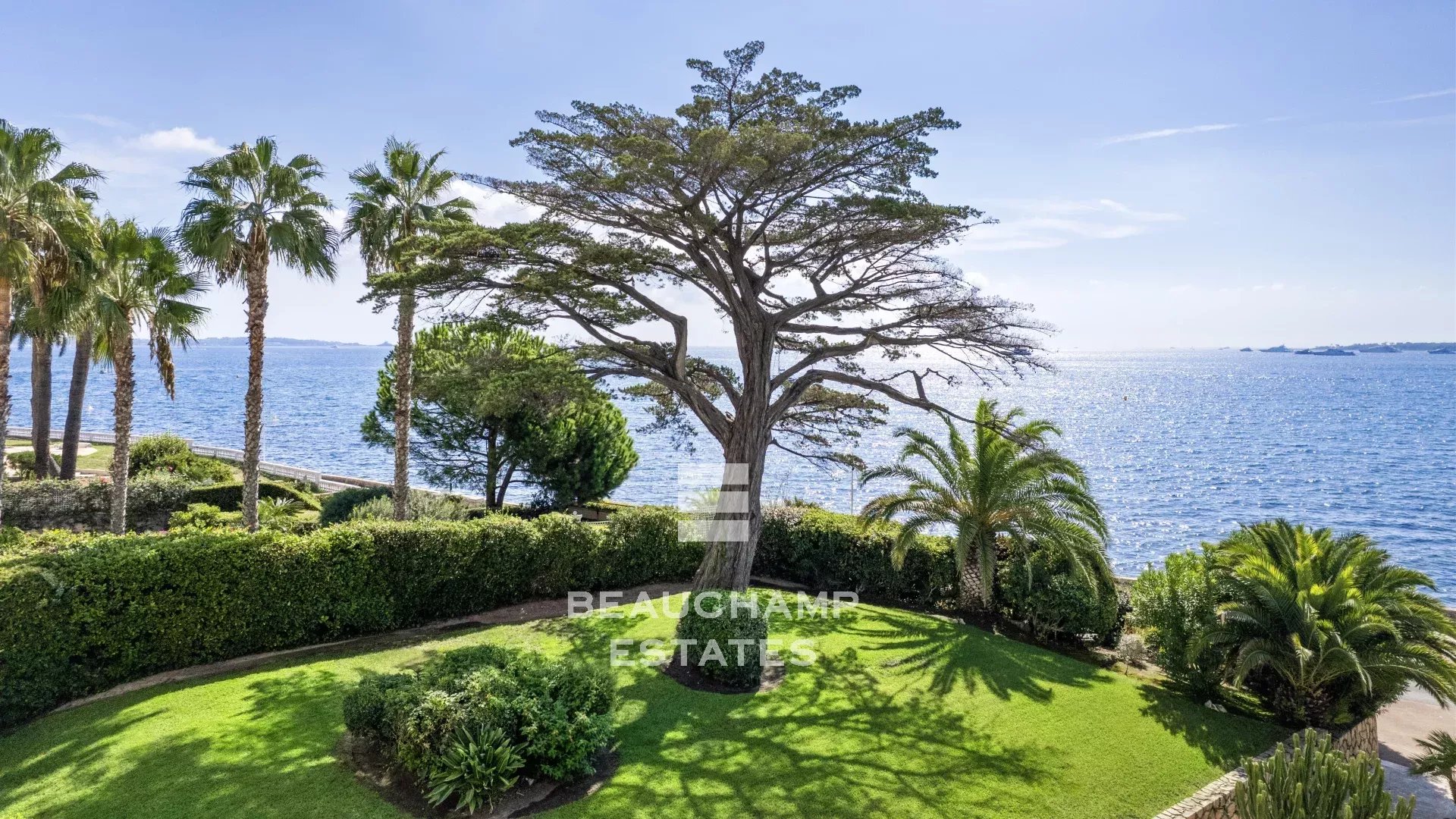 Appartement 3 chambres avec vue mer - Cannes  Palm Beach