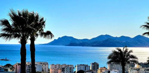CANNES BASSE CALIFORNIE - DERNIER ETAGE - TERRASSE - VUE MER PANORAMIQUE