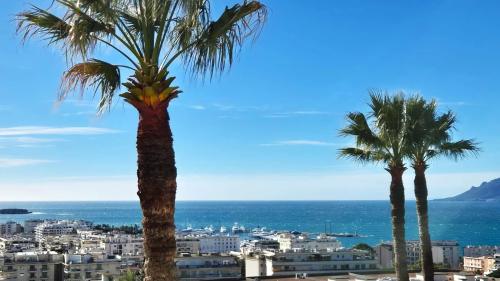 CANNES BASSE CALIFORNIE - DERNIER ETAGE - TERRASSE - VUE MER PANORAMIQUE