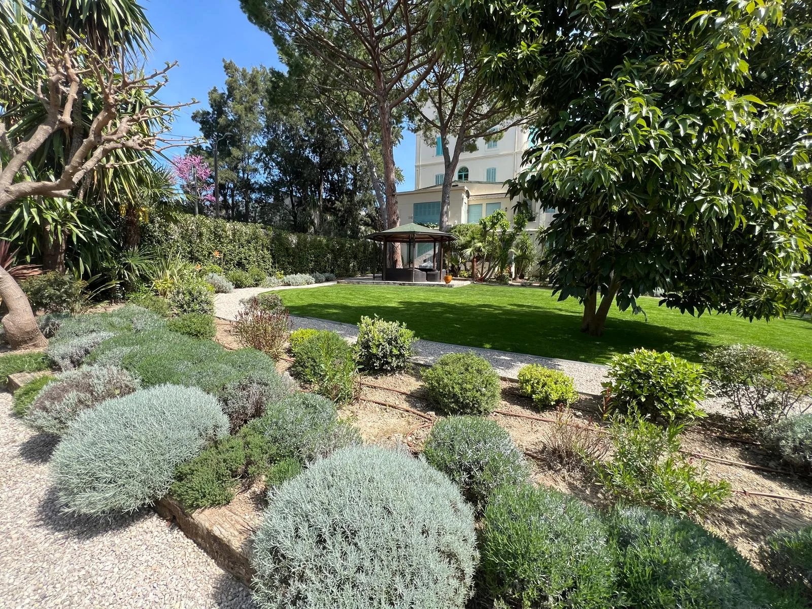 CANNES - BASSE CALIFORNIE -JARDIN