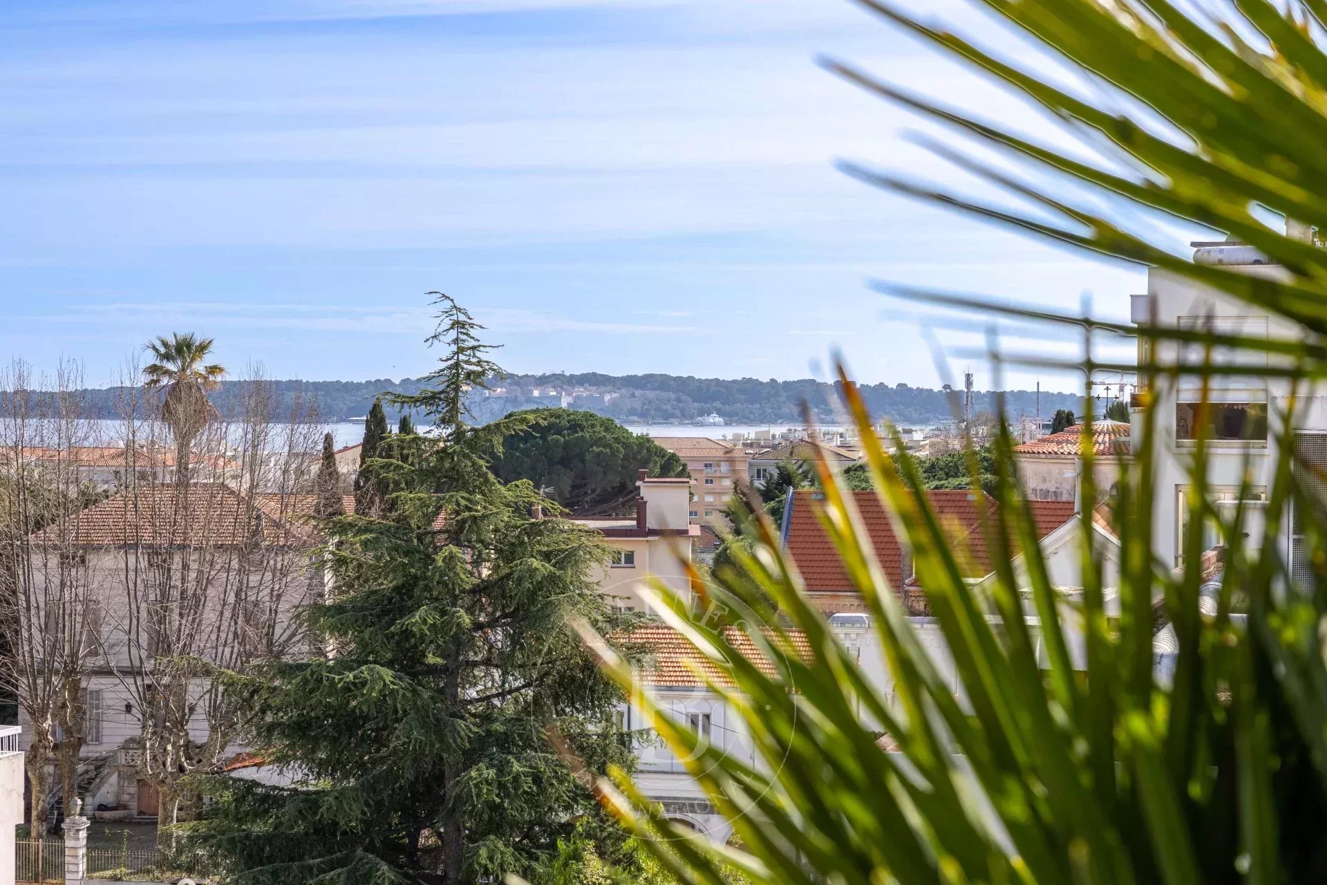EXCLUSIVITÉ CANNES BASSE CALIFORNIE -  PENTHOUSE - TERRASSE - VUE MER - 3 PIECES