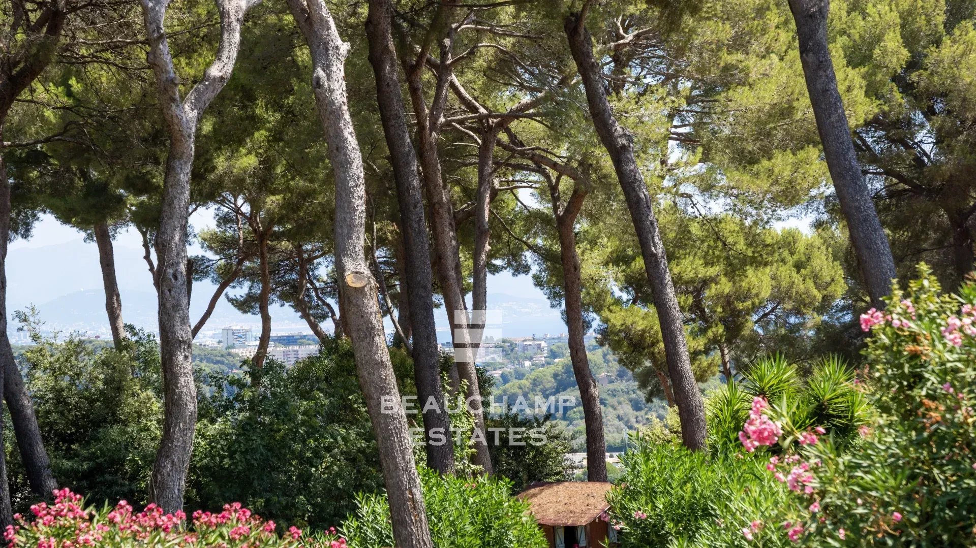 Villa meublée 5 chambres avec piscine - Golfe-Juan